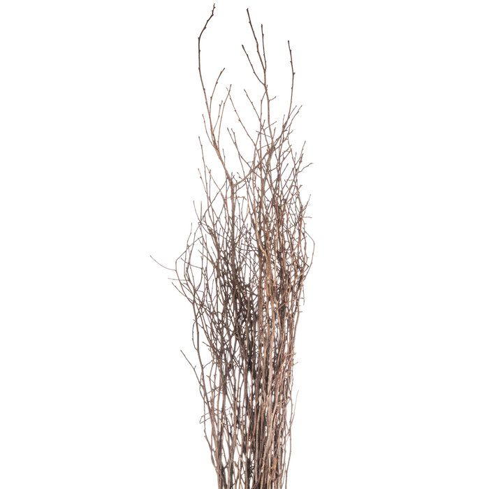 Natural Hog Huck Branches Hobby Lobby 548305